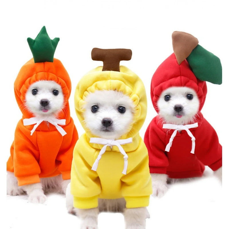 CONJUNTO PIJAMA YORKSHIRE, CHIHUAHUA Y GATOS ๐พ๐โ๐ฆบ๐ป๐พ