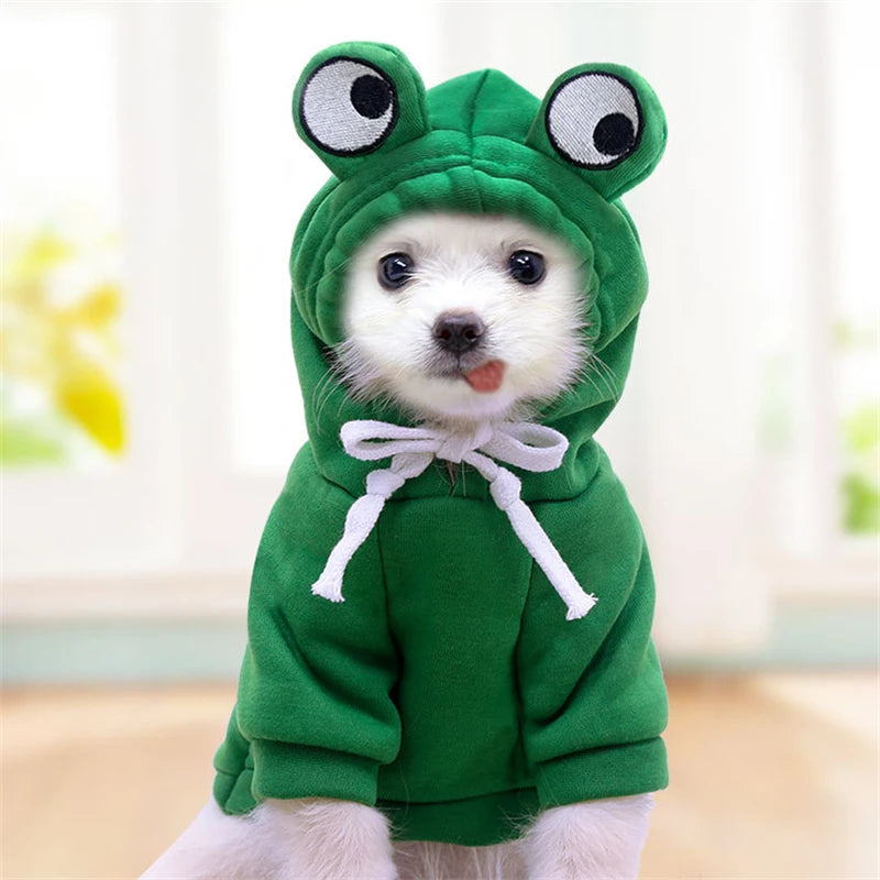 CONJUNTO PIJAMA YORKSHIRE, CHIHUAHUA Y GATOS ๐พ๐โ๐ฆบ๐ป๐พ