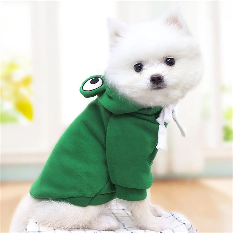 CONJUNTO PIJAMA YORKSHIRE, CHIHUAHUA Y GATOS ๐พ๐โ๐ฆบ๐ป๐พ