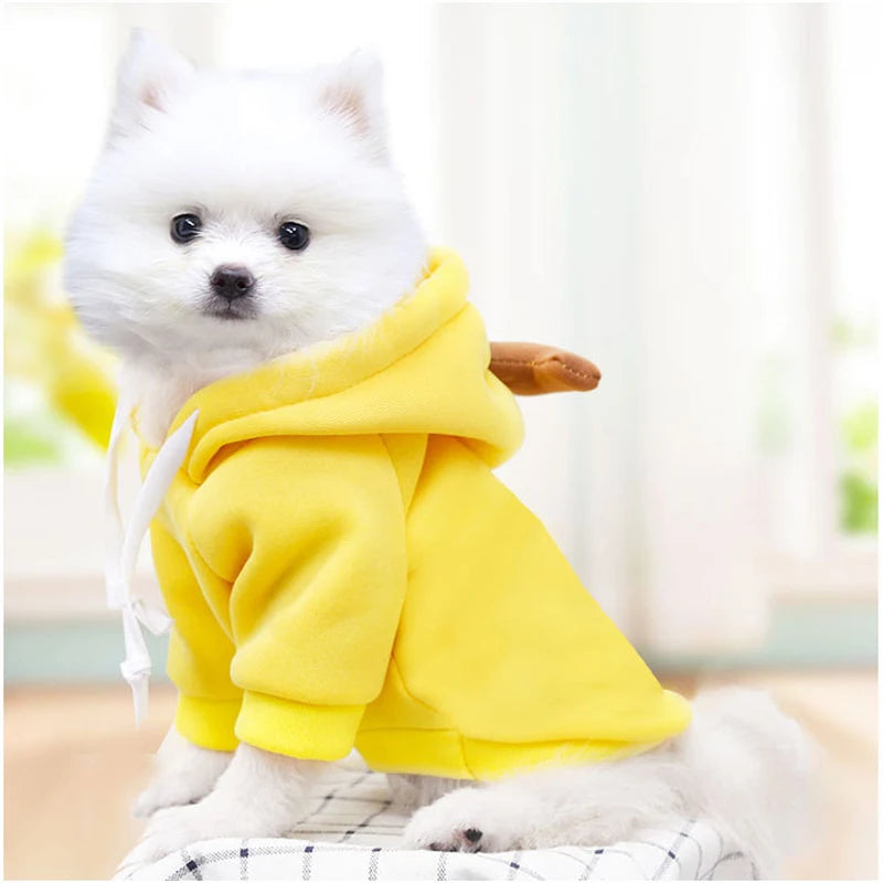 CONJUNTO PIJAMA YORKSHIRE, CHIHUAHUA Y GATOS ๐พ๐โ๐ฆบ๐ป๐พ