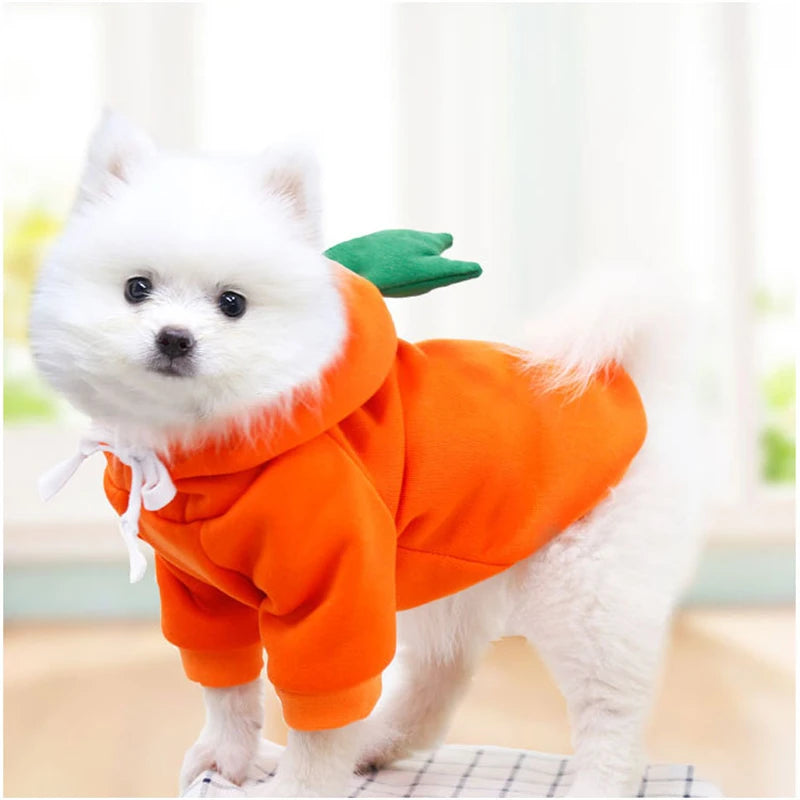 CONJUNTO PIJAMA YORKSHIRE, CHIHUAHUA Y GATOS ๐พ๐โ๐ฆบ๐ป๐พ