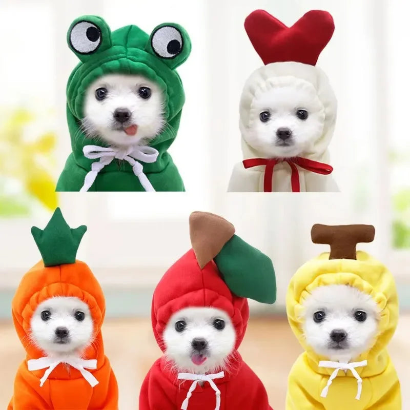 CONJUNTO PIJAMA YORKSHIRE, CHIHUAHUA Y GATOS ๐พ๐โ๐ฆบ๐ป๐พ