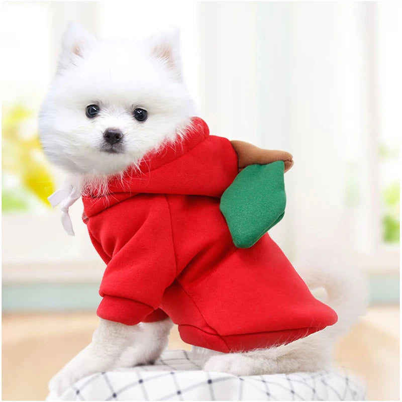 CONJUNTO PIJAMA YORKSHIRE, CHIHUAHUA Y GATOS ๐พ๐โ๐ฆบ๐ป๐พ