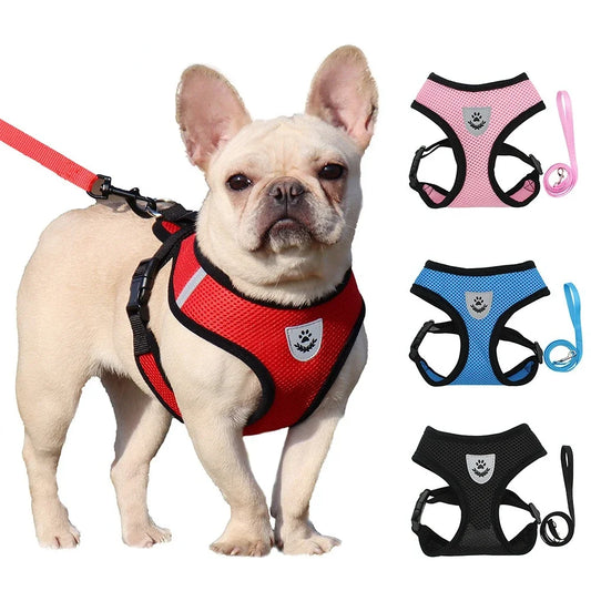 ARNES PROTECTOR CON REFLECTANTE.  DOG-CAT🐾🐕‍🦺🐈🐾