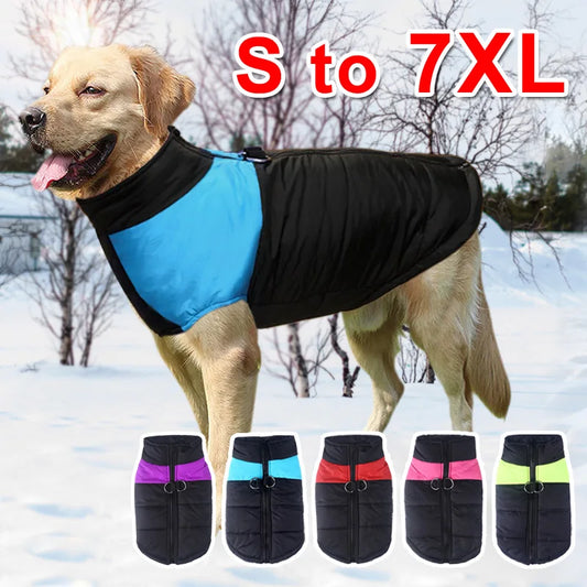 CHALECO IMPERMEABLE 🐾🐕‍🦺🐾